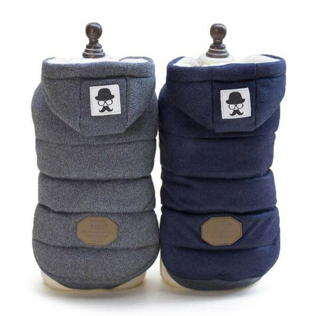 Colete de Inverno para Cachorros | Gentleman - Acaso Das Mulheres Modernas