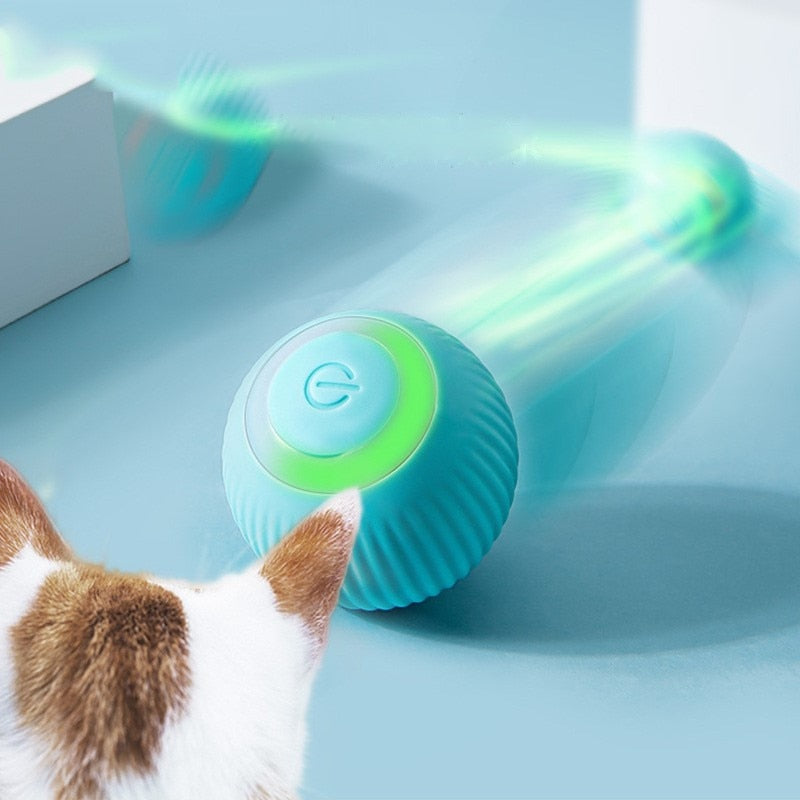 Bola Inteligente para Pet - Smart Ball™ - Acaso Das Mulheres Modernas