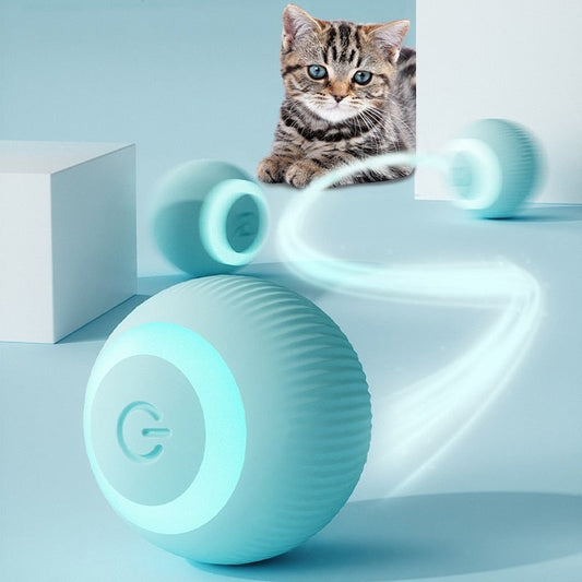 Bola Inteligente para Pet - Smart Ball™ - Acaso Das Mulheres Modernas