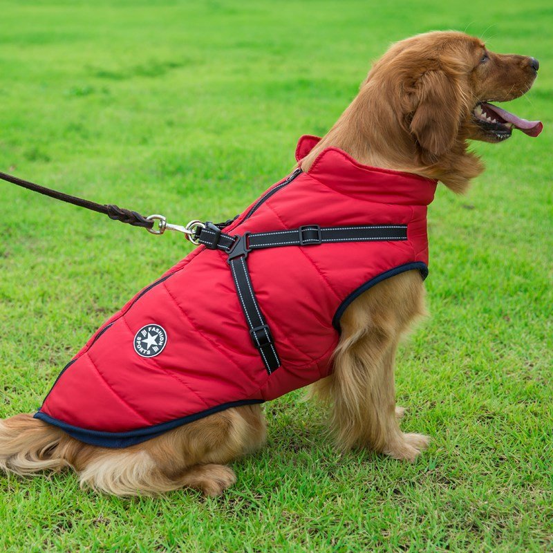 Colete Corta-Vento Pet Jones™ | Roupa Para Cachorro - Acaso Das Mulheres Modernas