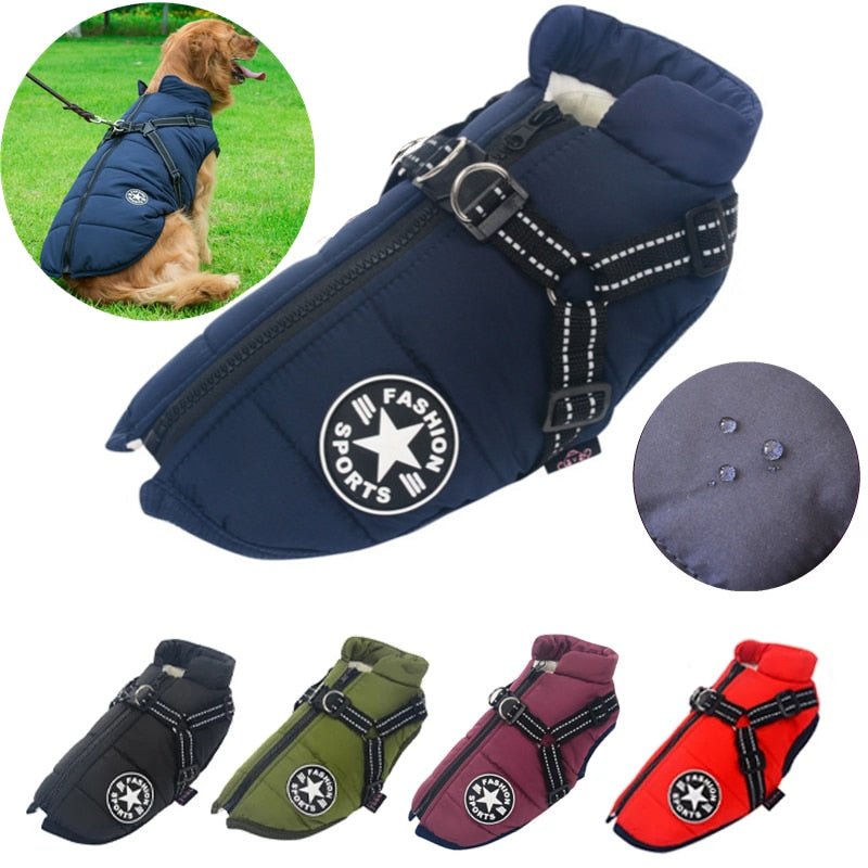 Colete Corta-Vento Pet Jones™ | Roupa Para Cachorro - Acaso Das Mulheres Modernas