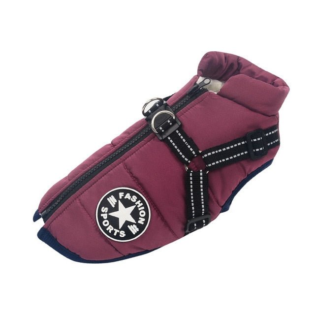 Colete Corta-Vento Pet Jones™ | Roupa Para Cachorro - Acaso Das Mulheres Modernas