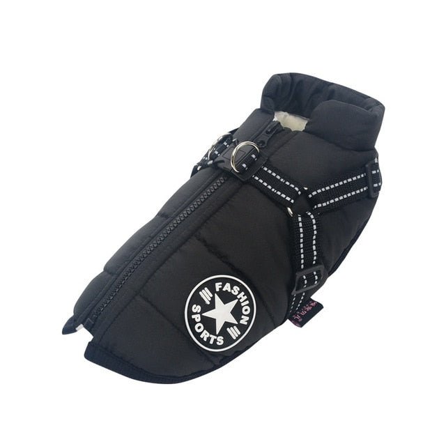 Colete Corta-Vento Pet Jones™ | Roupa Para Cachorro - Acaso Das Mulheres Modernas