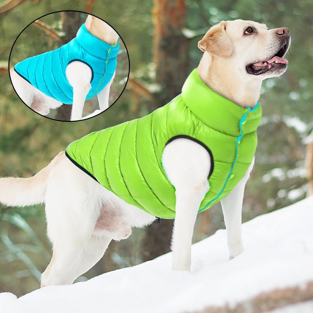 Colete Pet Alby™ Dupla-Face 3 Camadas | Roupa Para Cachorro - Acaso Das Mulheres Modernas