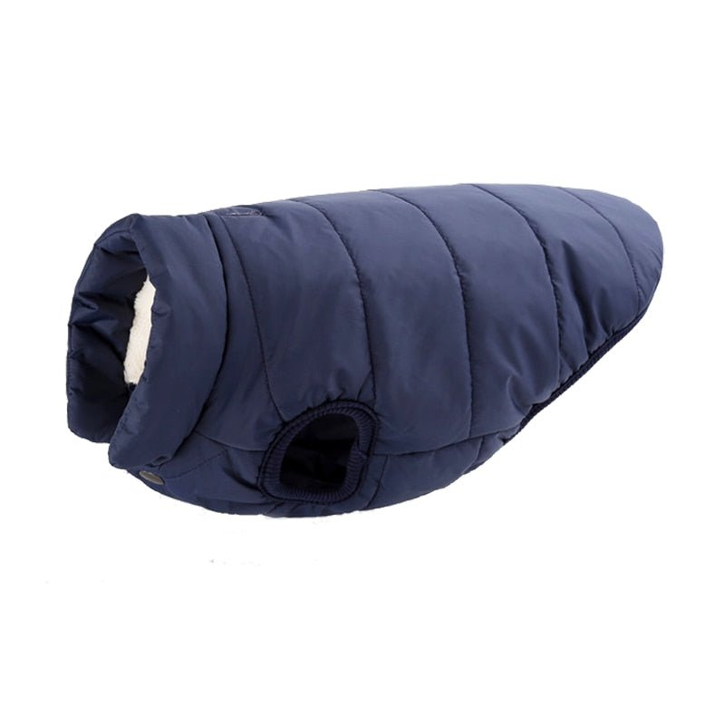 Colete Pet Steve™ | Roupa Para Cachorro - Acaso Das Mulheres Modernas