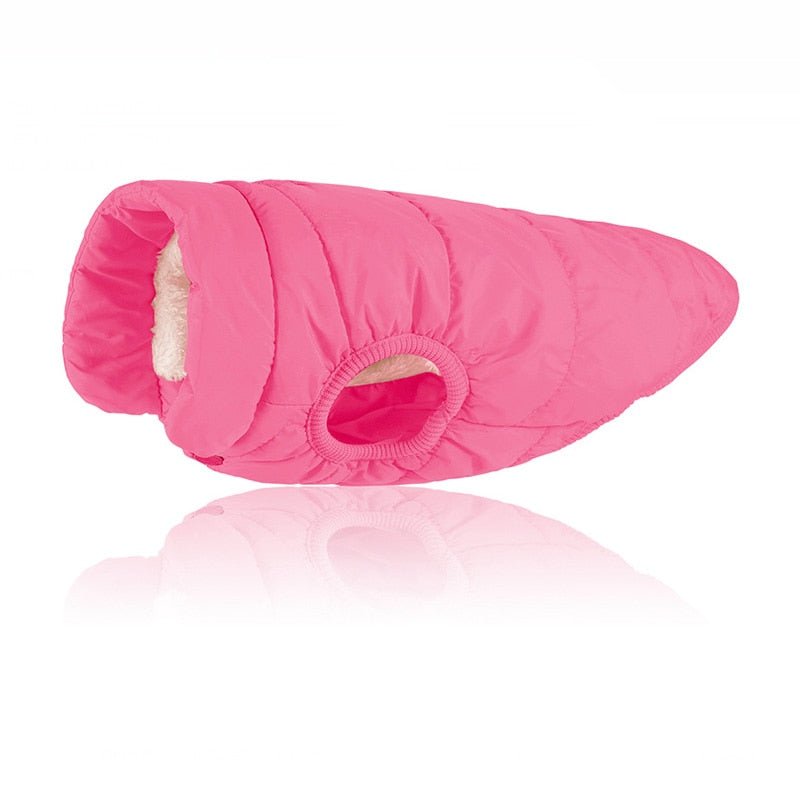 Colete Pet Steve™ | Roupa Para Cachorro - Acaso Das Mulheres Modernas