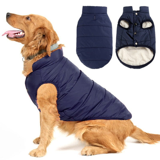 Colete Pet Steve™ | Roupa Para Cachorro - Acaso Das Mulheres Modernas