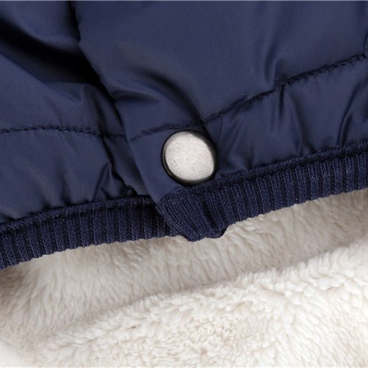 Colete Pet Steve™ | Roupa Para Cachorro - Acaso Das Mulheres Modernas