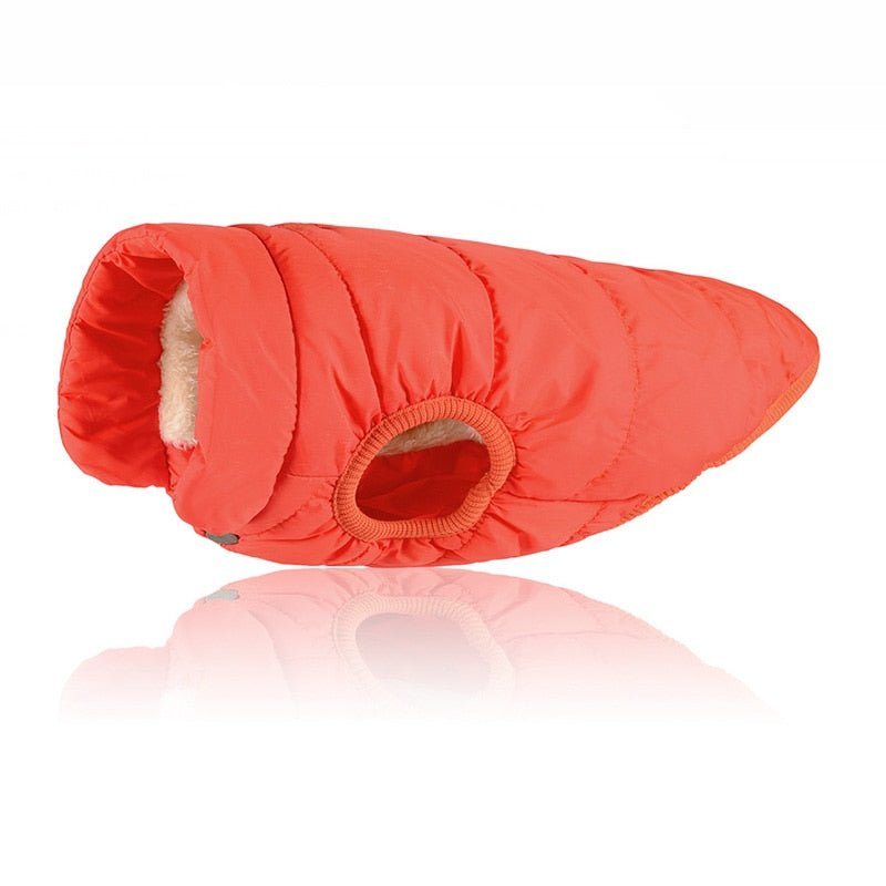 Colete Pet Steve™ | Roupa Para Cachorro - Acaso Das Mulheres Modernas
