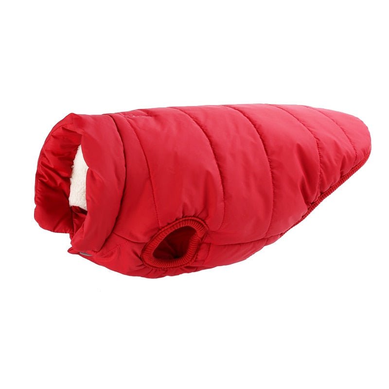 Colete Pet Steve™ | Roupa Para Cachorro - Acaso Das Mulheres Modernas