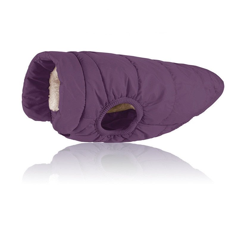 Colete Pet Steve™ | Roupa Para Cachorro - Acaso Das Mulheres Modernas