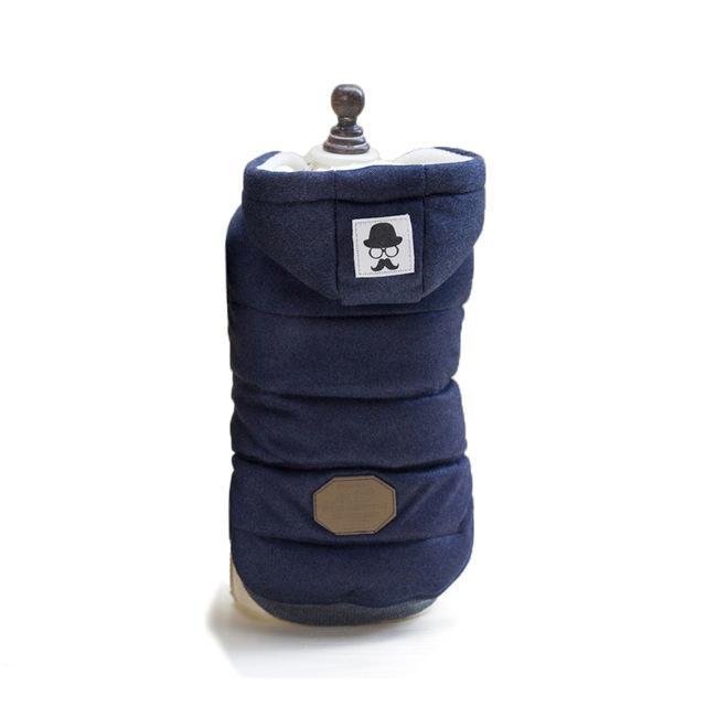 Colete de Inverno para Cachorros | Gentleman - Acaso Das Mulheres Modernas