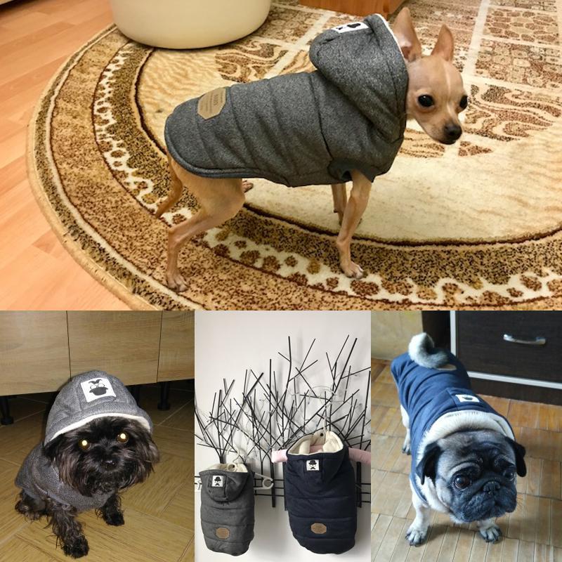 Colete de Inverno para Cachorros | Gentleman - Acaso Das Mulheres Modernas
