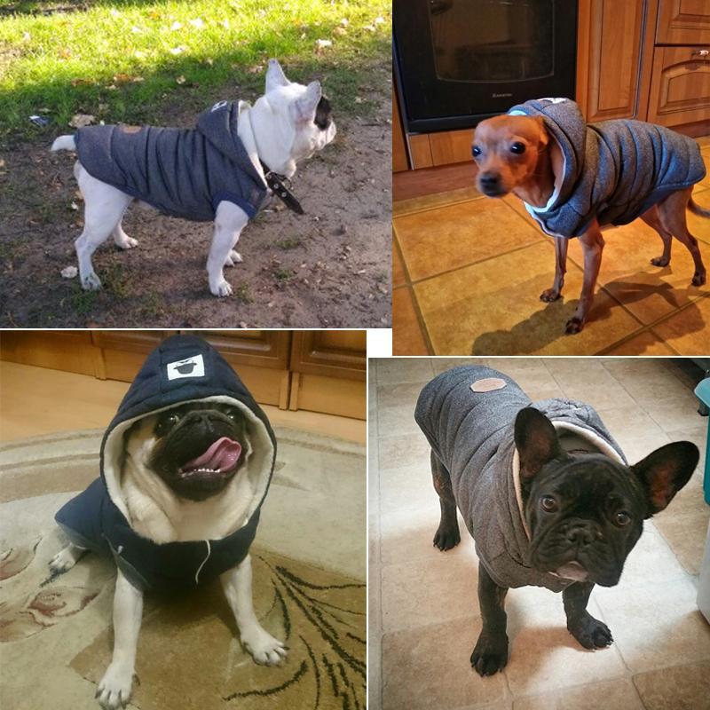 Colete de Inverno para Cachorros | Gentleman - Acaso Das Mulheres Modernas