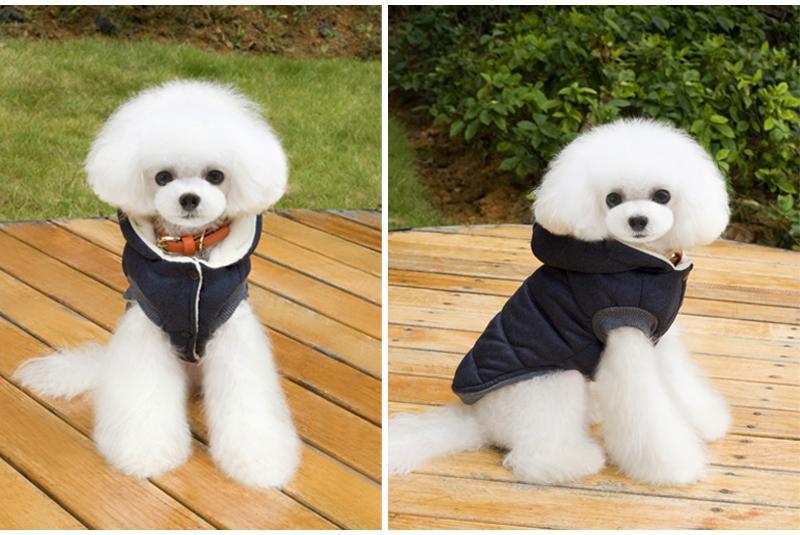 Colete de Inverno para Cachorros | Gentleman - Acaso Das Mulheres Modernas
