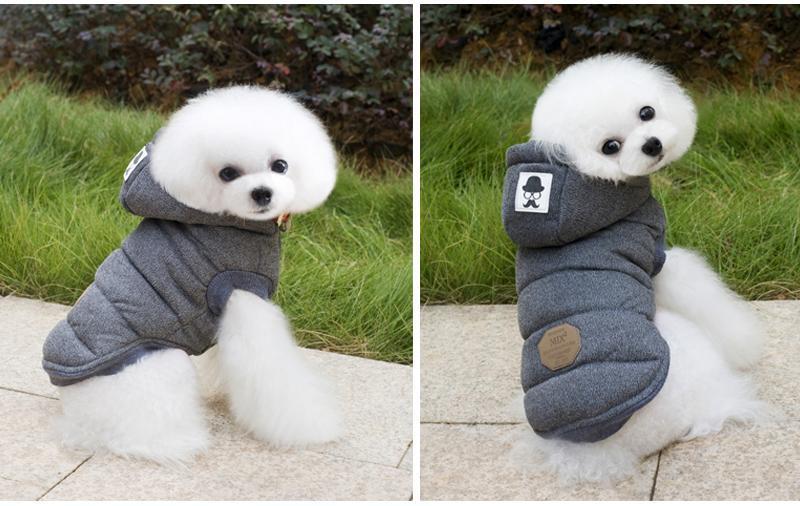 Colete de Inverno para Cachorros | Gentleman - Acaso Das Mulheres Modernas